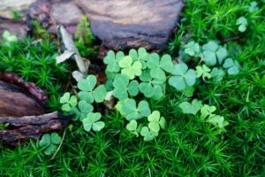 Viele Kinder kommen beim Spielen draußen ganz von selbst wieder in einen ruhigeren Zustand.