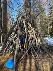 Sinnesspiele im Wald