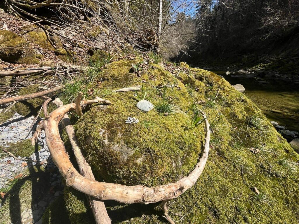 Sinnesspiele in der Natur: Wie Kinder ihr Nervensystem draußen ganz natürlich regulieren