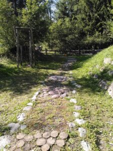 Barfusspfad, Sinnesspiele im Wald, Nervensystem regulieren