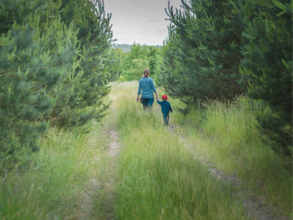 Natur beruhigt Mütter und Kinder, Nervensystem regulieren, Stressbewältigung, Wald