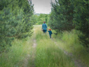 Natur beruhigt Mütter und Kinder, Nervensystem regulieren, Stressbewältigung, Wald