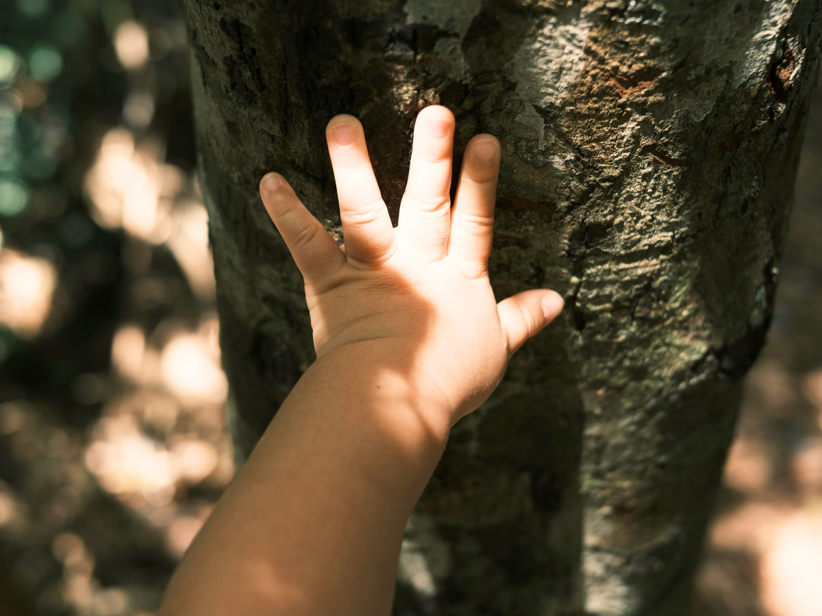 Nervensystem beruhigen überdrehtes Kind, Nervensystem regulieren draussen in der Natur