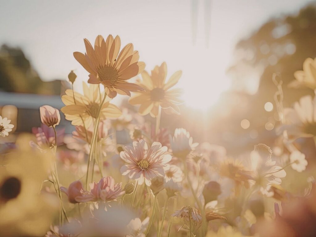Frühlingsrituale für Familien in der Natur, Nervensystem beruhigen