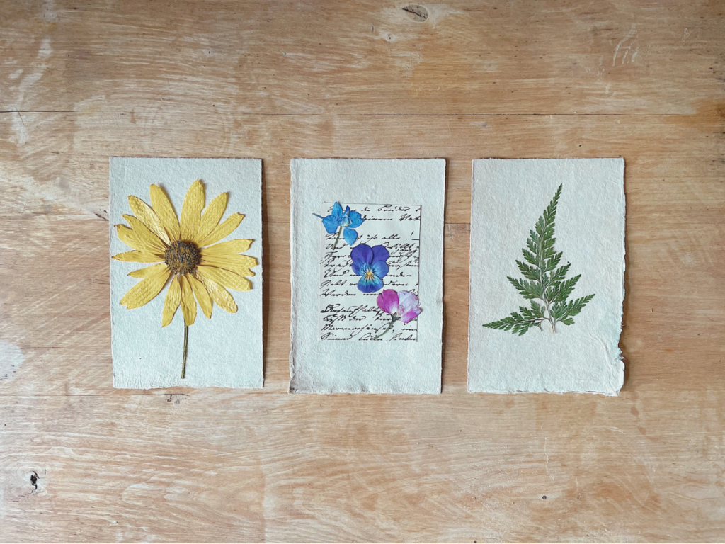 Samenpapier selber machen, Nervensystem beruhigen, Basteln Natur